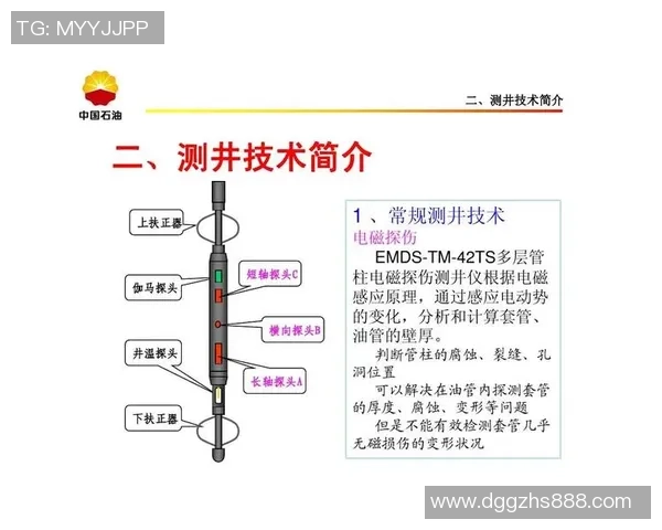广州排球队在大师赛中的技术表现分析与点评